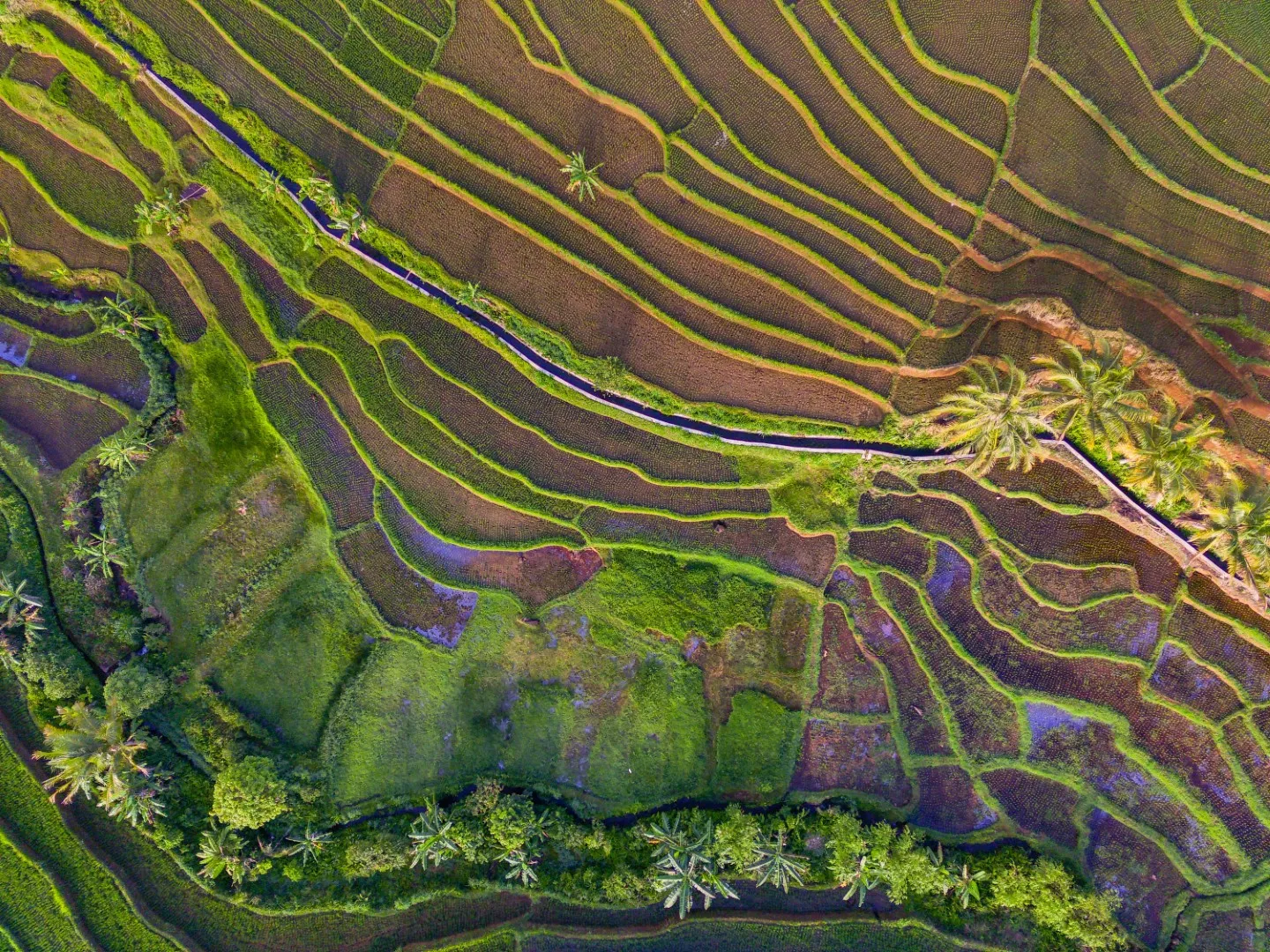 Pentingnya Kultur Wawas untuk Pembangunan Berkelanjutan